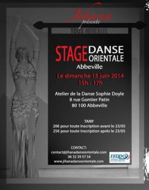 Stage Abbeville 2014
